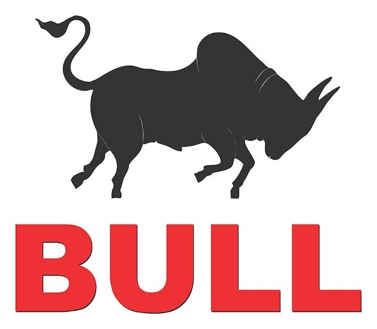 Bull Machines