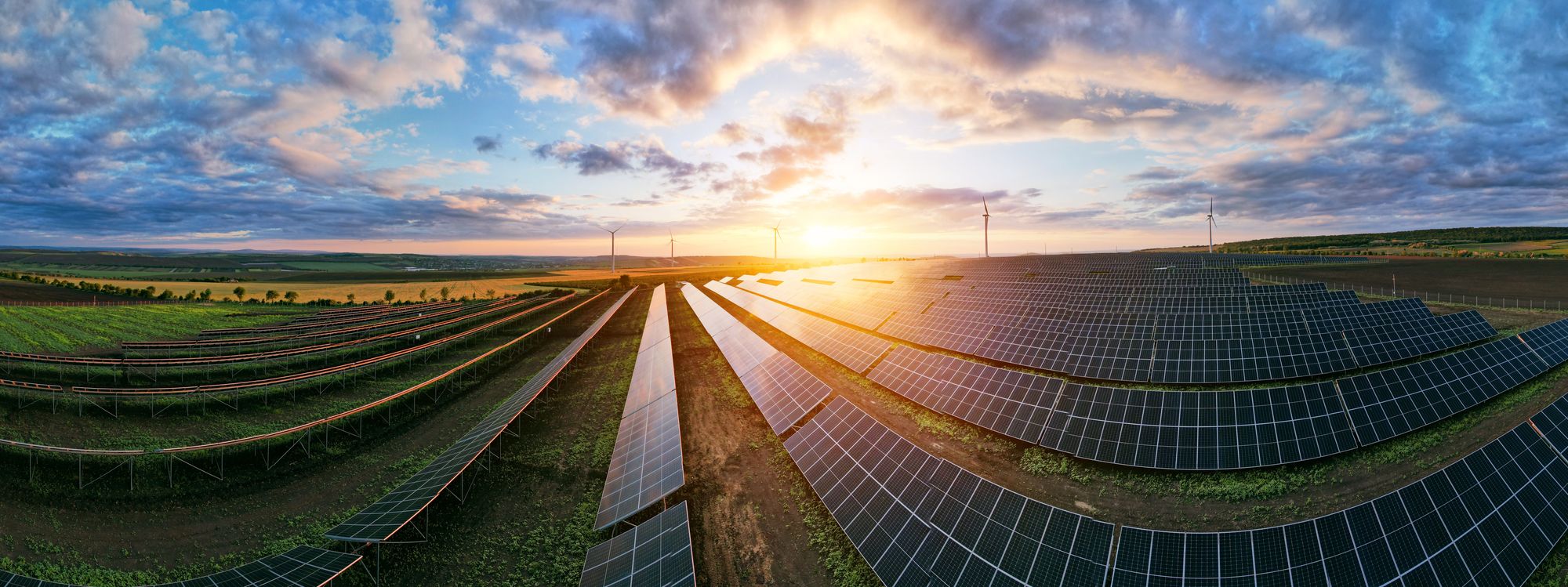 Climate Action and Environment