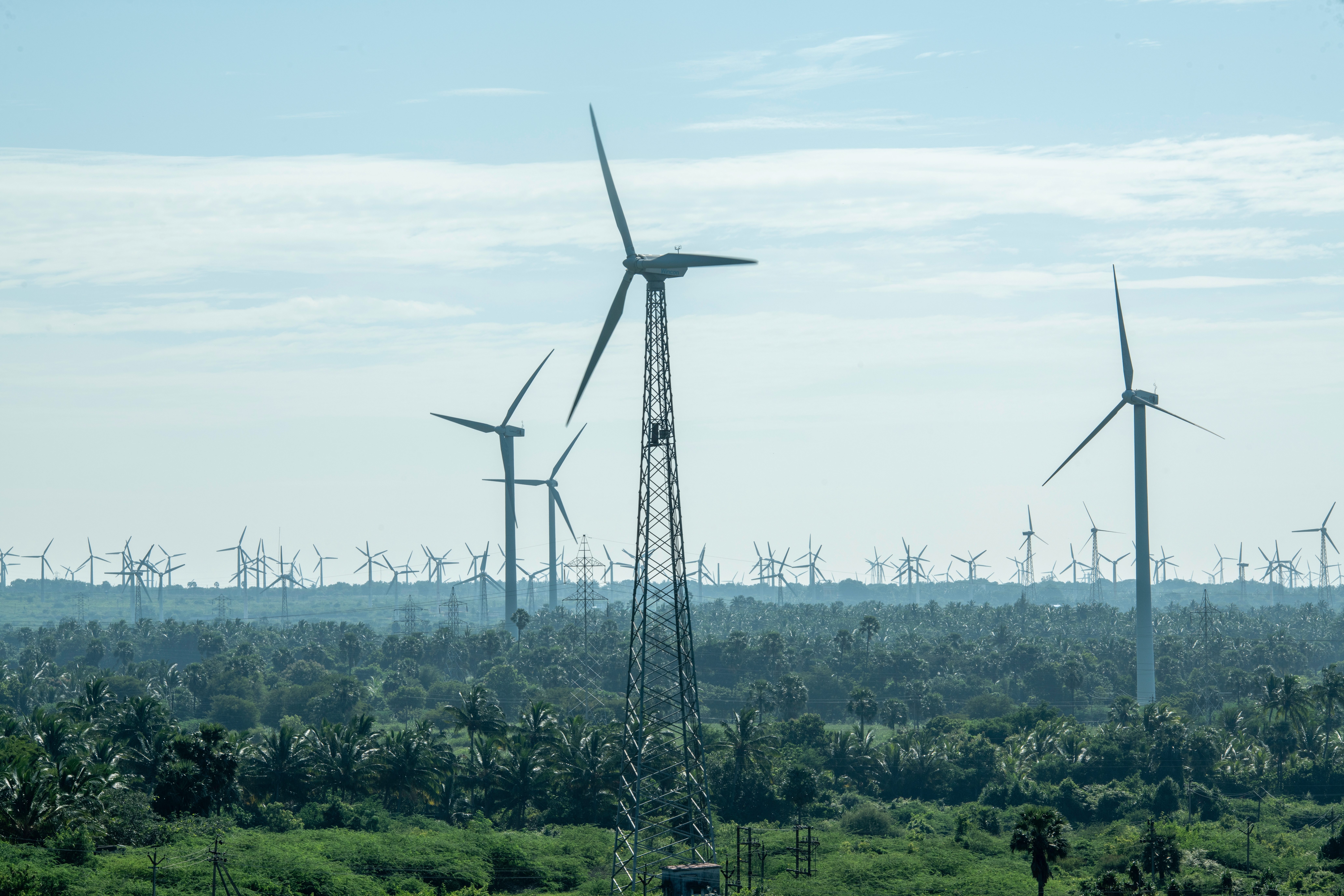 Renewables highlight